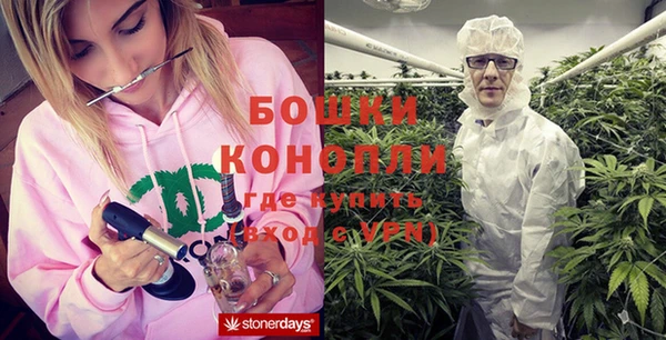 первитин Богданович