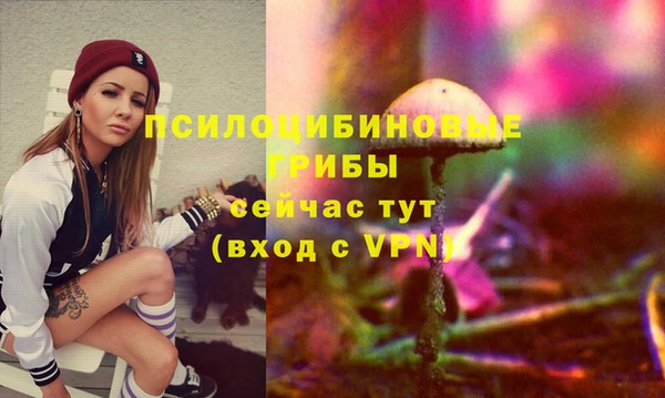 первитин Богданович