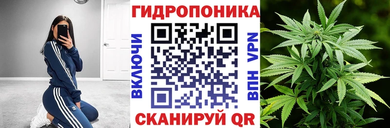 Марихуана SATIVA & INDICA купить наркотики сайты кракен ТОР Нерчинск